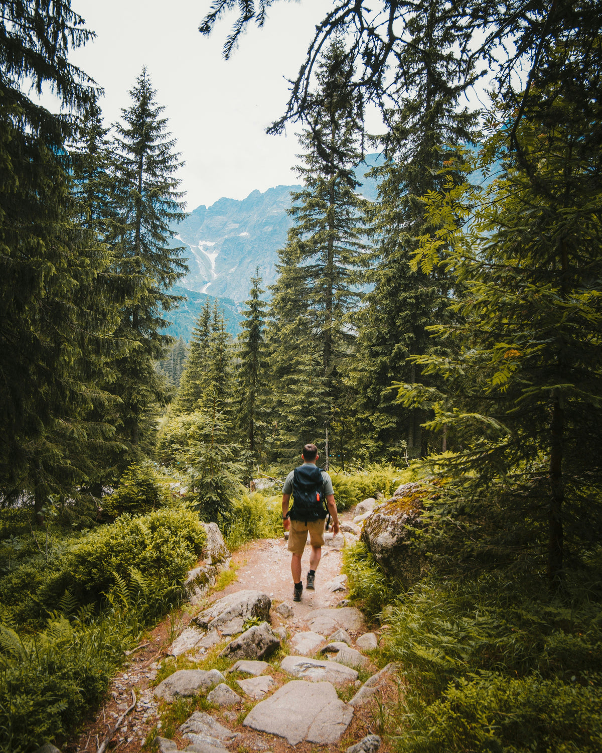Hiking